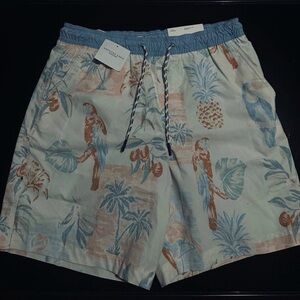 American Eagle Outfitters Blue and Tan Tropical Shorts
